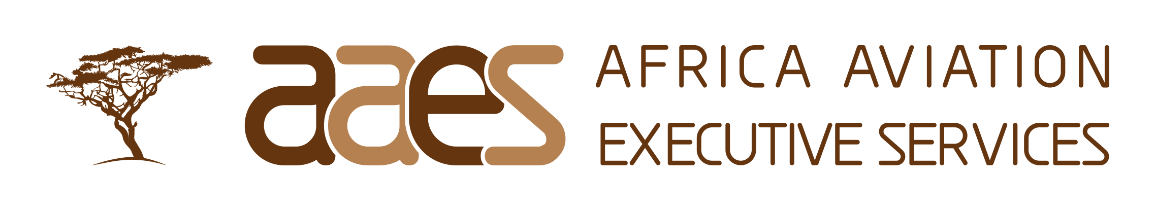 Africa Aviation Executive Services